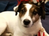 20151223_220333.jpg