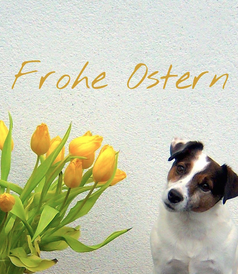 Frohe_Ostern_2016