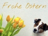 Frohe_Ostern_2016