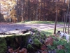 20151101_135406