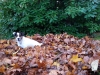 20141031_154022